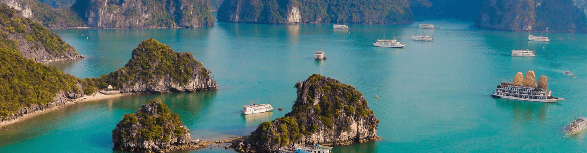 Nhà xe Tân Kim Chi